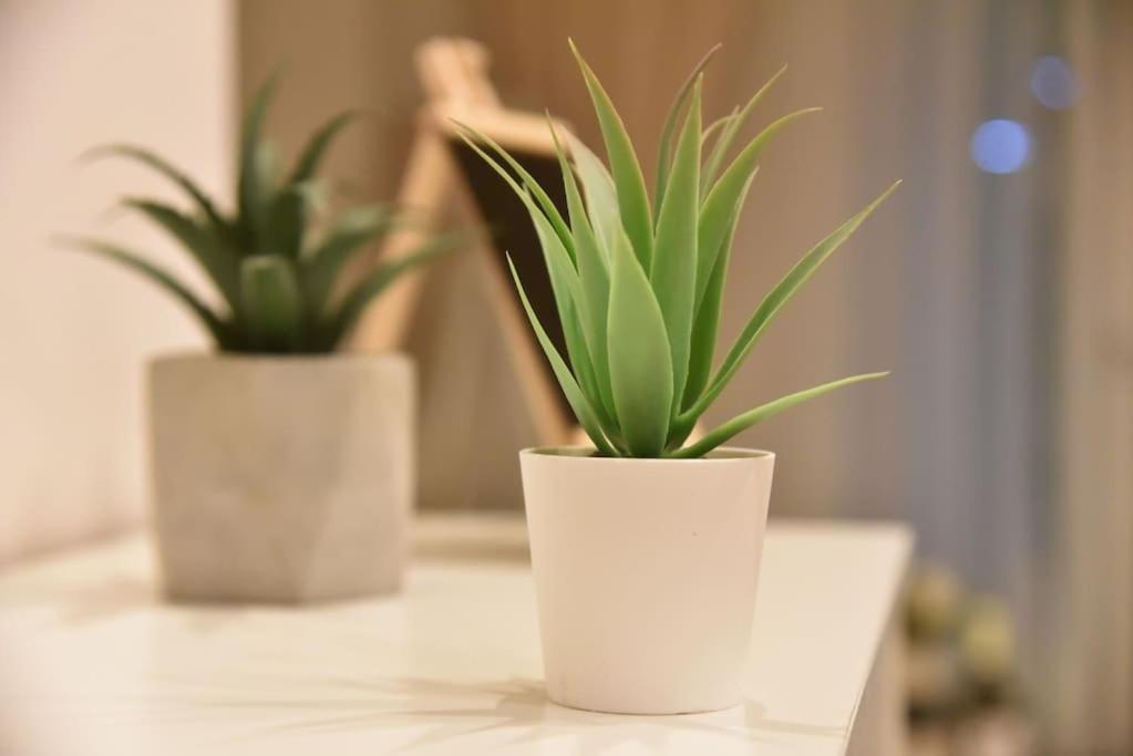 Tiny Treasure Apartment Atina Dış mekan fotoğraf